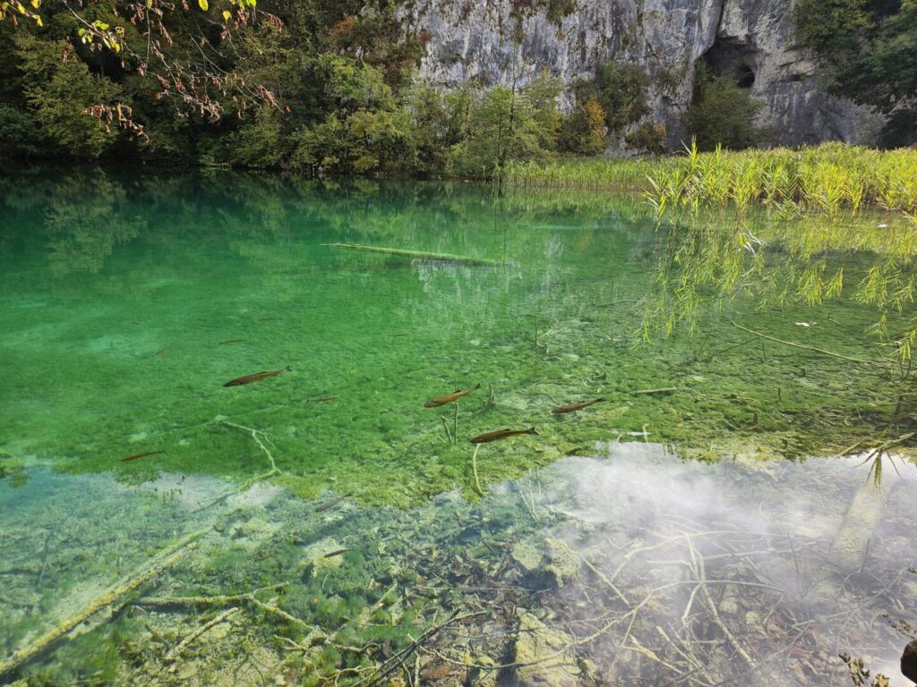 10.10.2025. - terenska nastava u NP Plitvička jezera