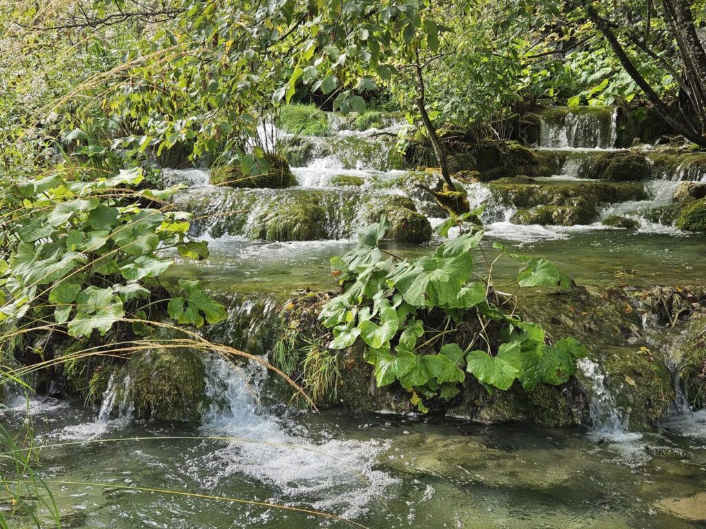 10.10.2025. - terenska nastava u NP Plitvička jezera